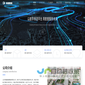 山东港通数据智能有限公司